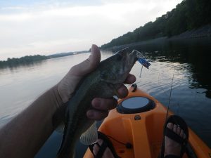 Robert M., Chattanooga, TN