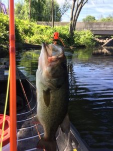 John S., Edinboro, PA