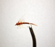 North Fork Nymph