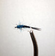 North Fork Nymph - Electric Blue