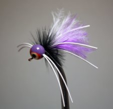 Rollie Pollie Purple Skunk