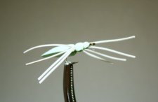 Green Dry Cricket