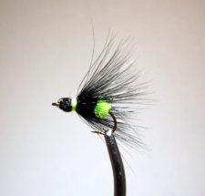Fat Black Gnat with a Chartreuse Tail