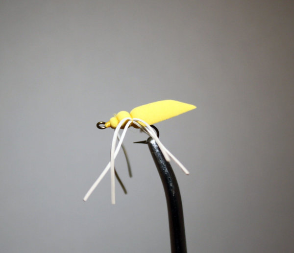 Yellow Dry Cricket