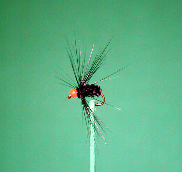 Hackle Fly
