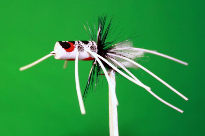 Fret Not My Fellow Fly Fishers – Spring Will Come Again!