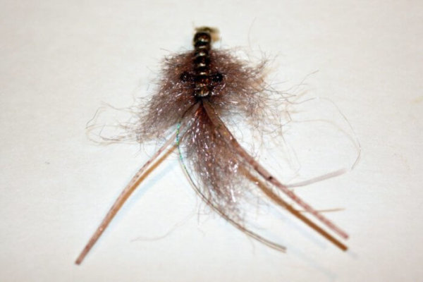 Baby Dad Crayfish Fly Gray For Bluegill and Trout