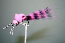 Pink Lady Fly