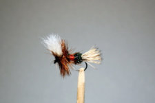 Royal Wulff trout fly from RIO