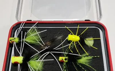 Which Popper Or Fly Should I Use For Bluegill Fly Fishing?