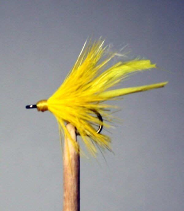 yellow Gnat with feather tail