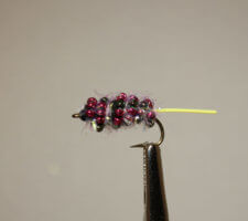 Mutant Mulberry Carp Fly