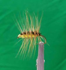 Conrad's Crackle Back Dry Fly