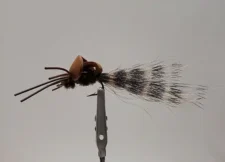 Conrads Brown Dragon